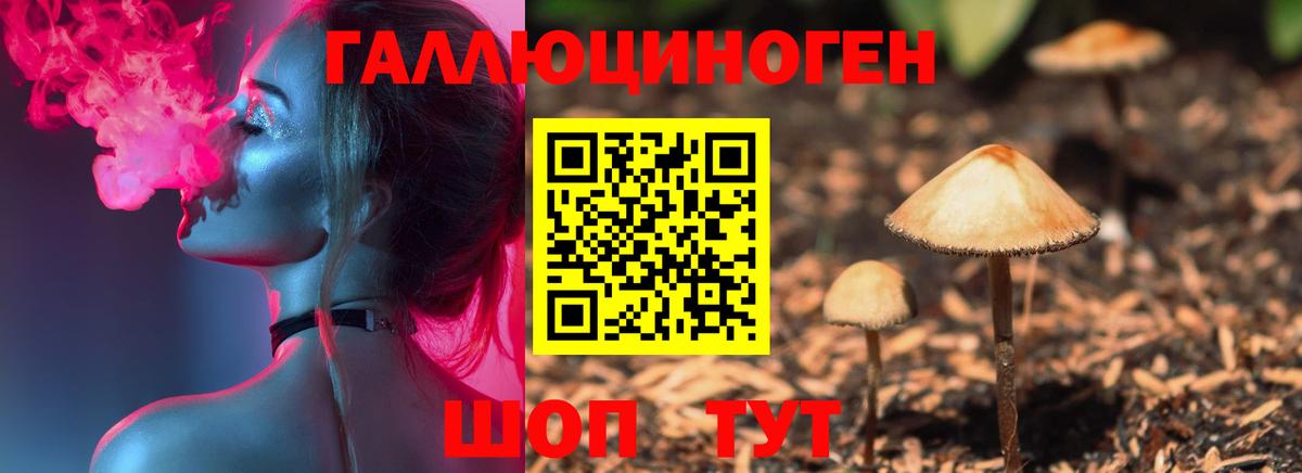 Галлюциногенные грибы прущие грибы  Вход с VPN  Буйнакск 