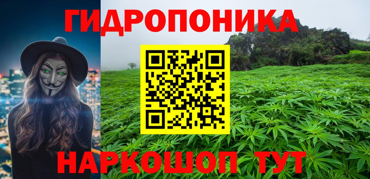 Конопля планчик Буйнакск